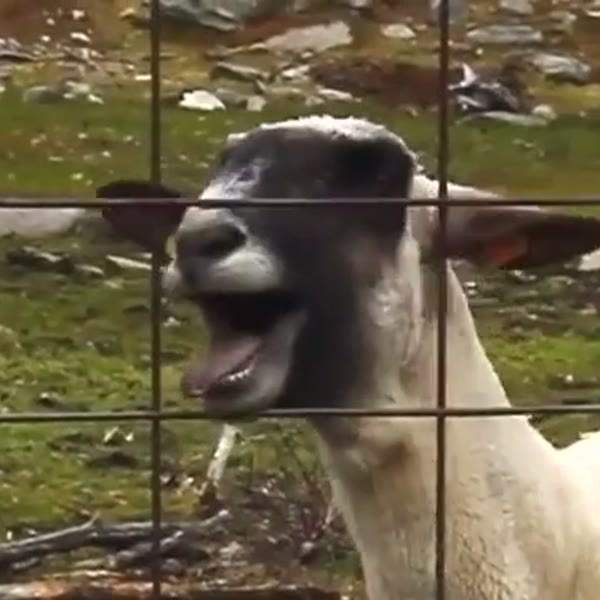aaaaaaaaaa