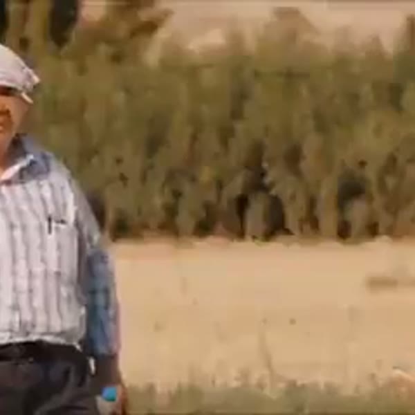 kör gözünü sikiyim emi