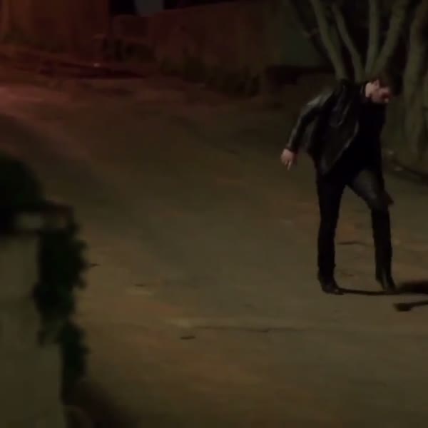 kuzey güney kedi