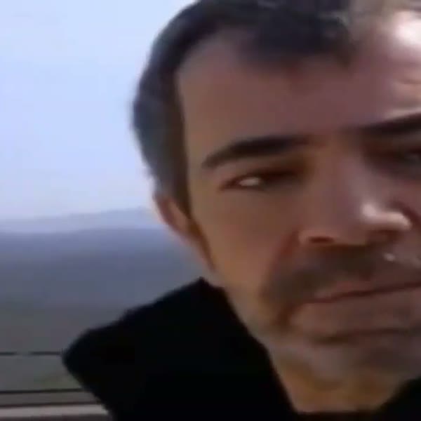 ne oluyo aslanım ne tribe girdin