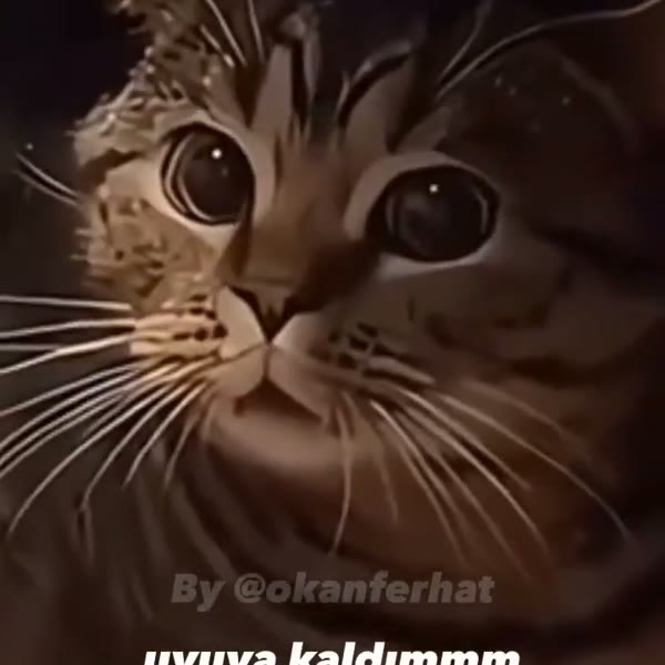 uyuyakaldım