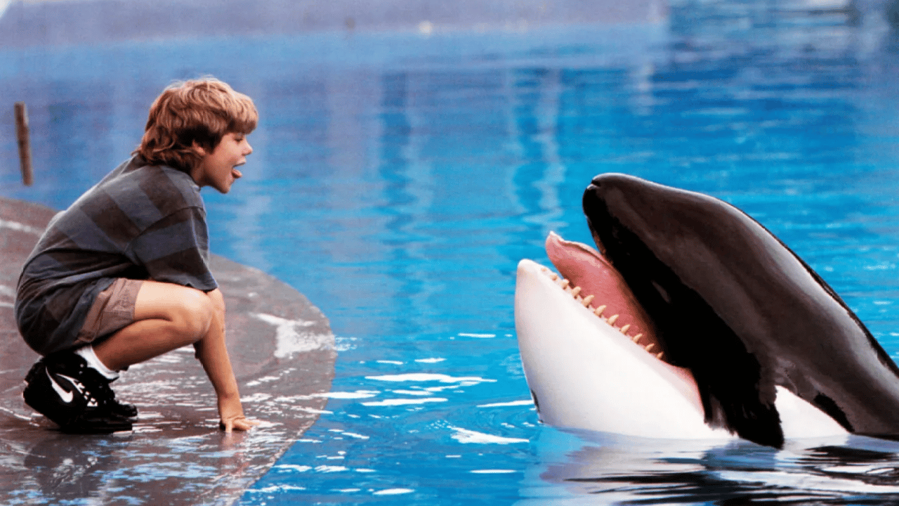 Free Willy Geri Dönüyor: Warner Bros. Klasiği Yeniden Çekiyor