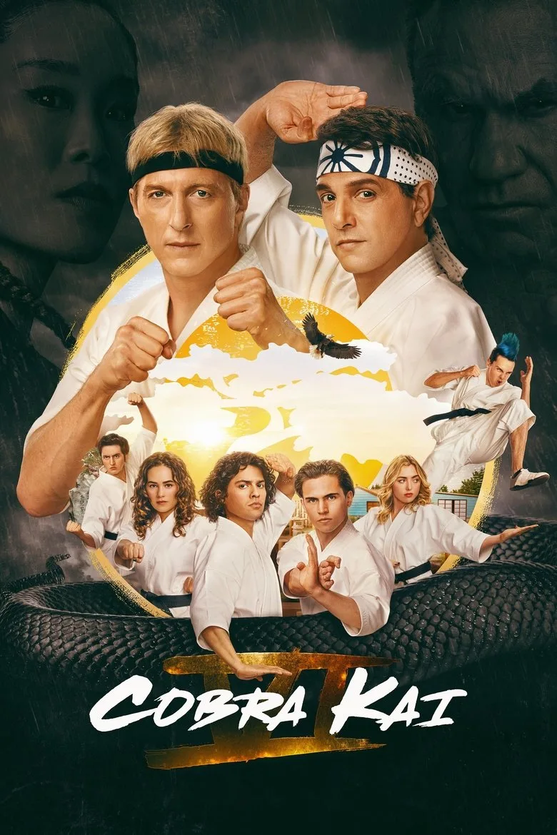 Watch Cobra Kai Dizi