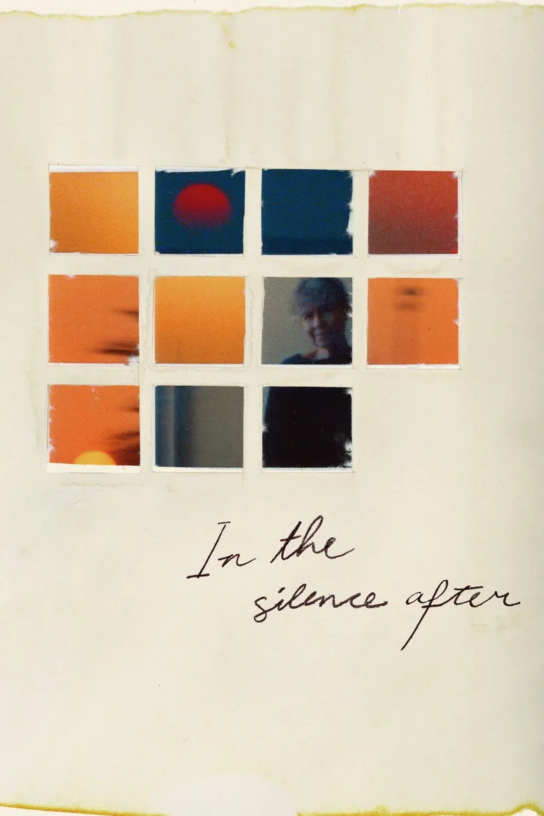 Watch In the Silence After Film