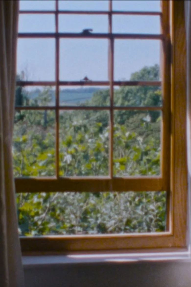 Watch Landscape as Landscape - 28 Film
