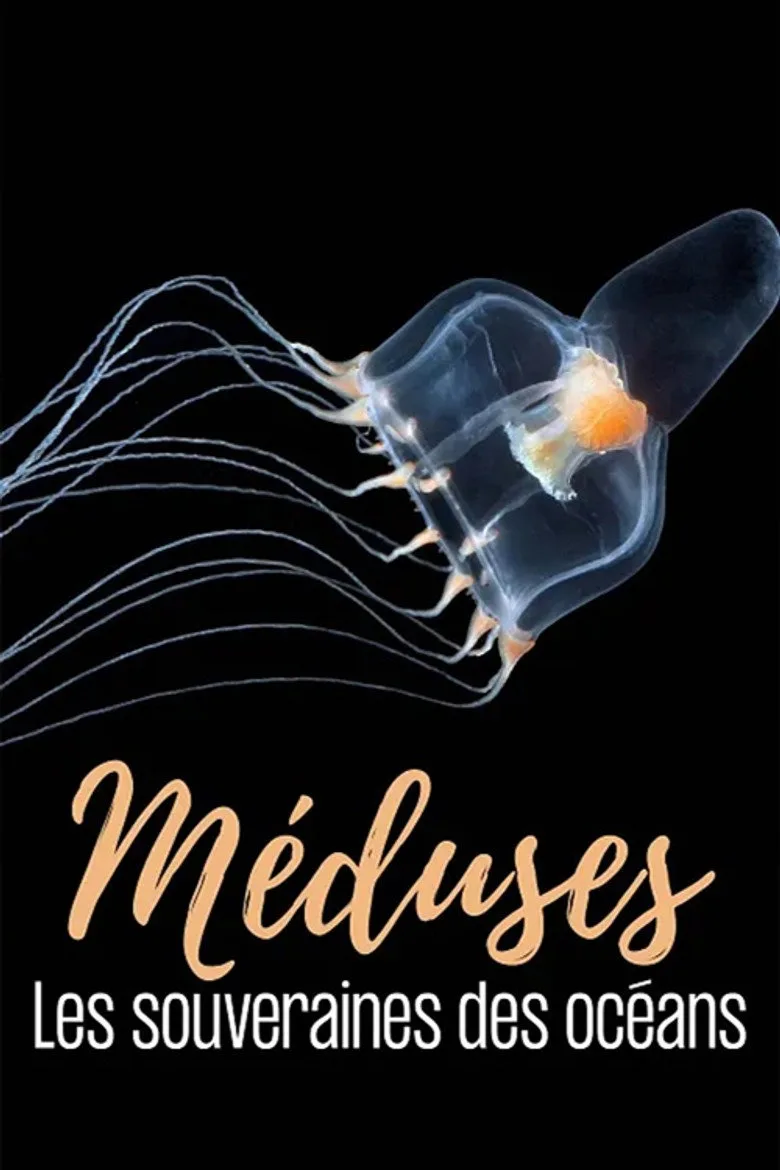 Watch Méduses les souveraines des océans Film