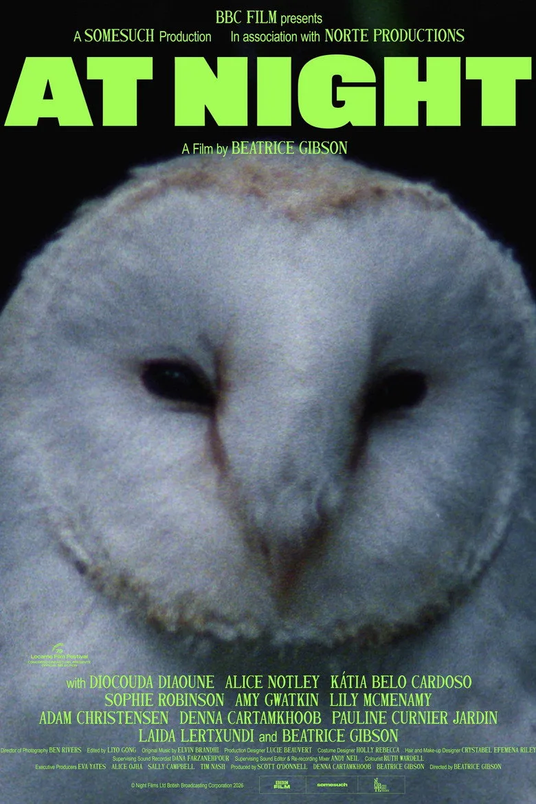 Watch At Night Film