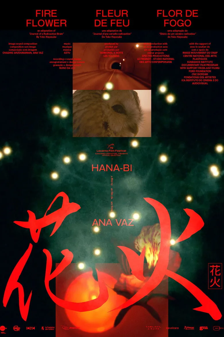 Watch Hanabi Film