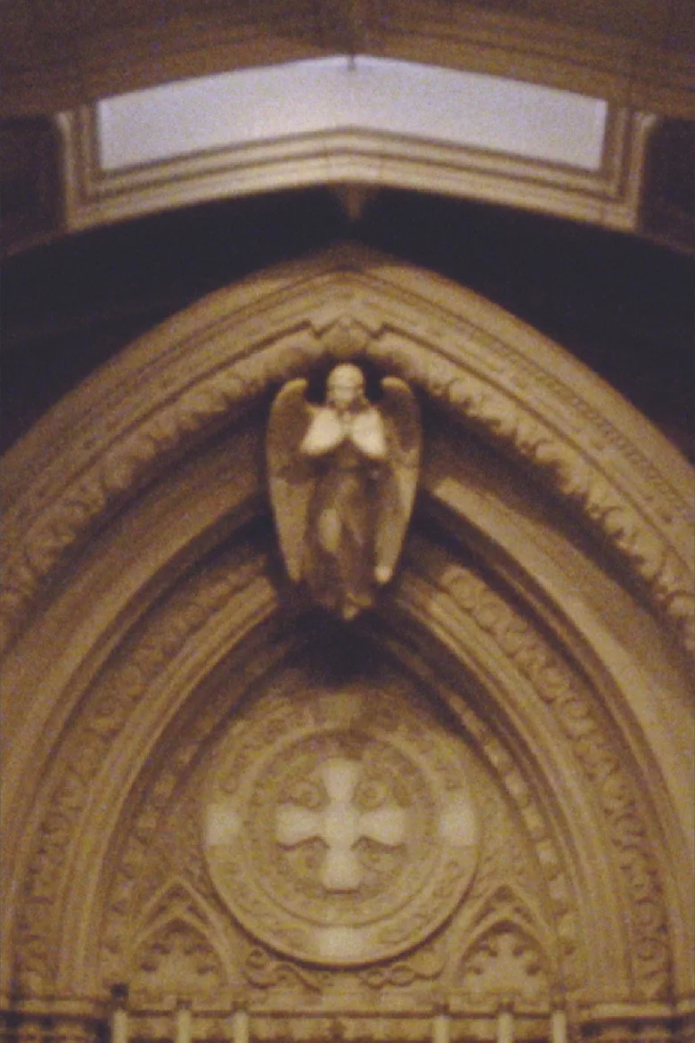 Watch Catechesis Film