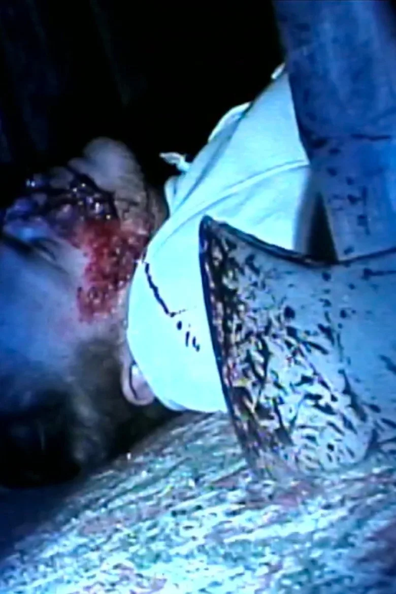 Watch Holiday Horror Film