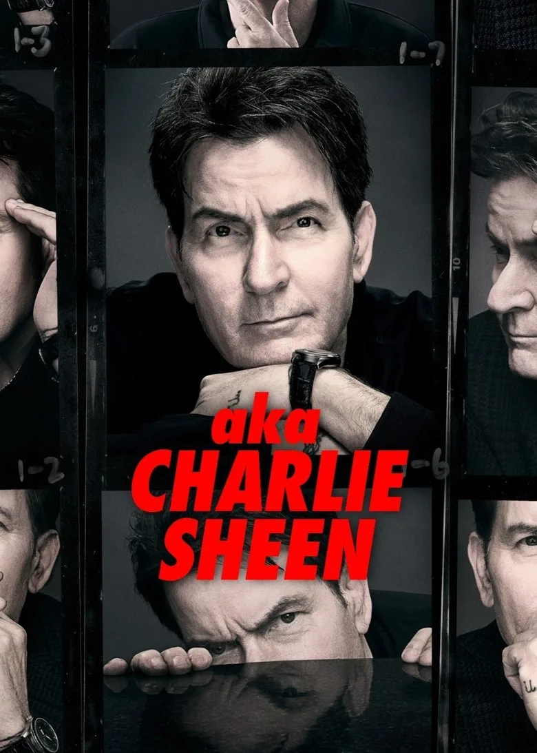 Watch Namıdiğer Charlie Sheen Dizi