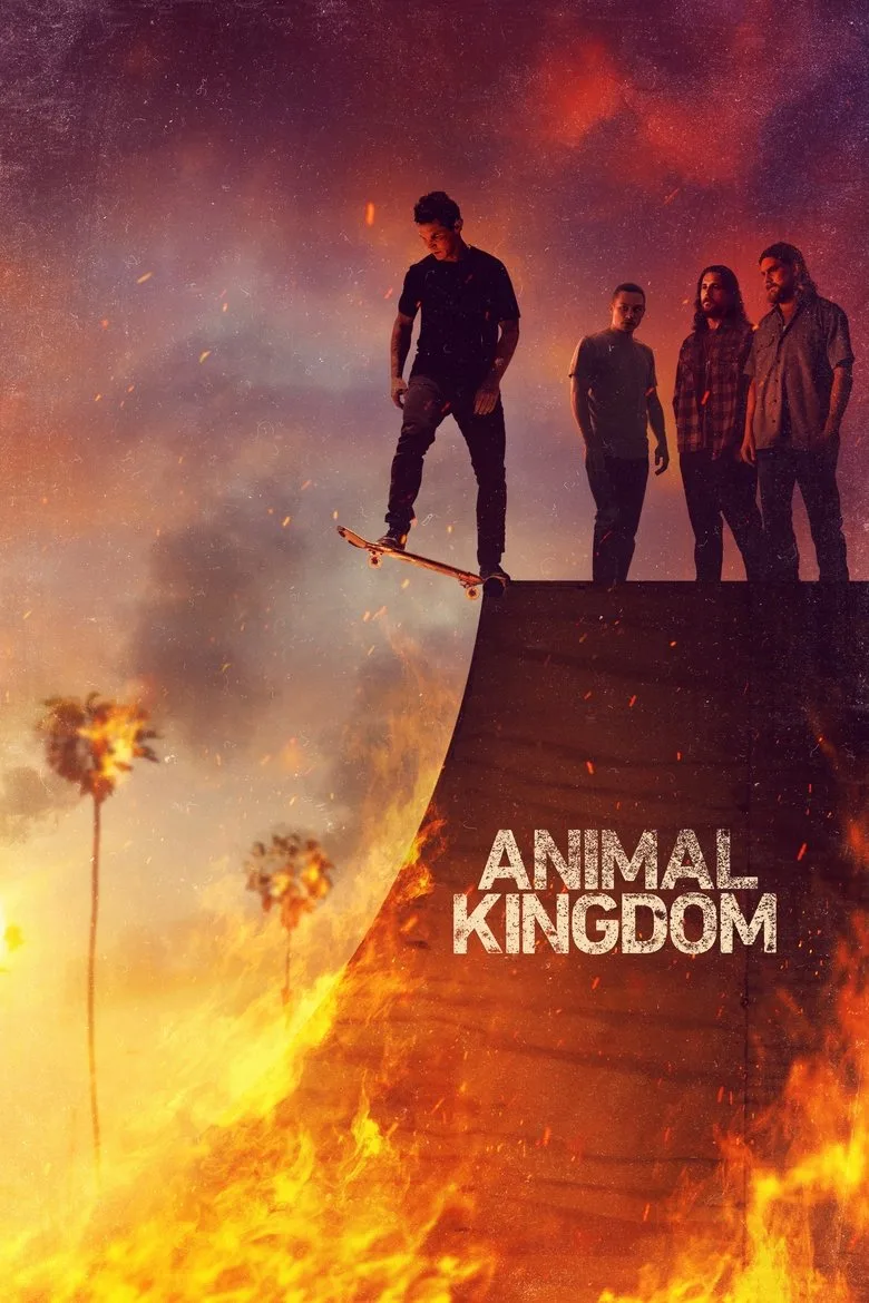 Watch Animal Kingdom Dizi