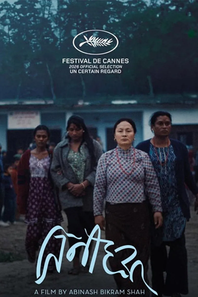 Watch Elephants in the Fog Film