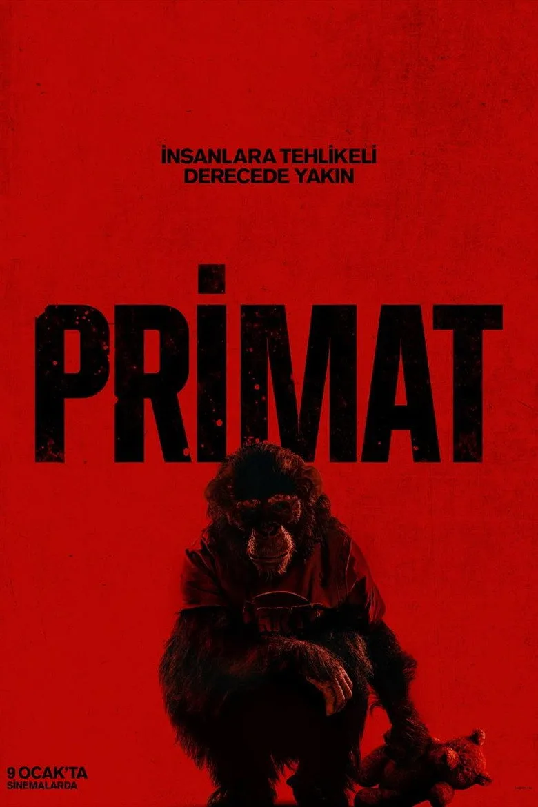 Watch Primat Film