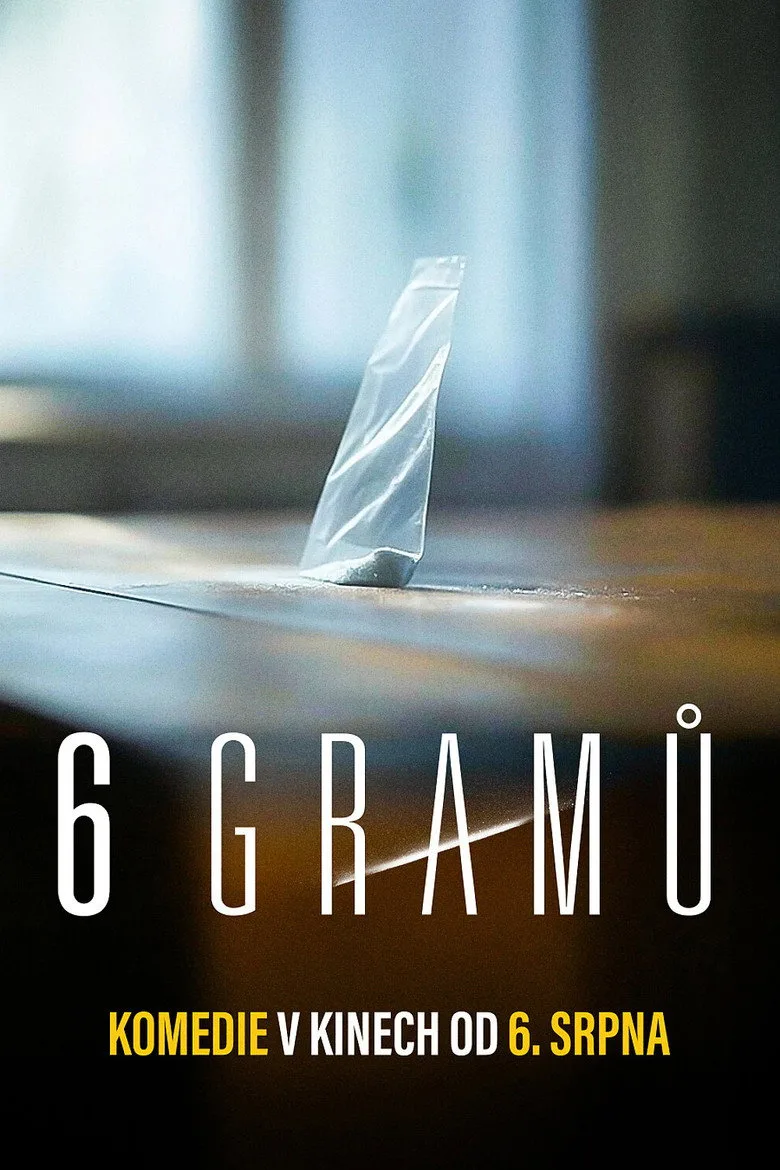 Watch 6 gramů Film