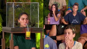 Survivor - Tv’de Yok