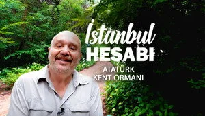 Atatürk Kent Ormanı