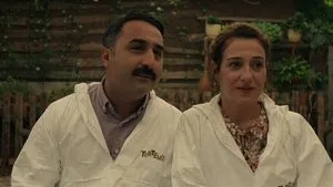 Yedisi