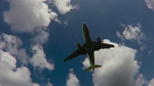 Pilot